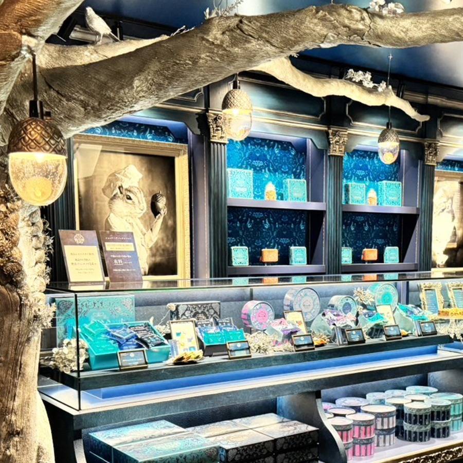 フジテレビ「Live News イット!」 | メディア情報 | 岐阜の複合施設