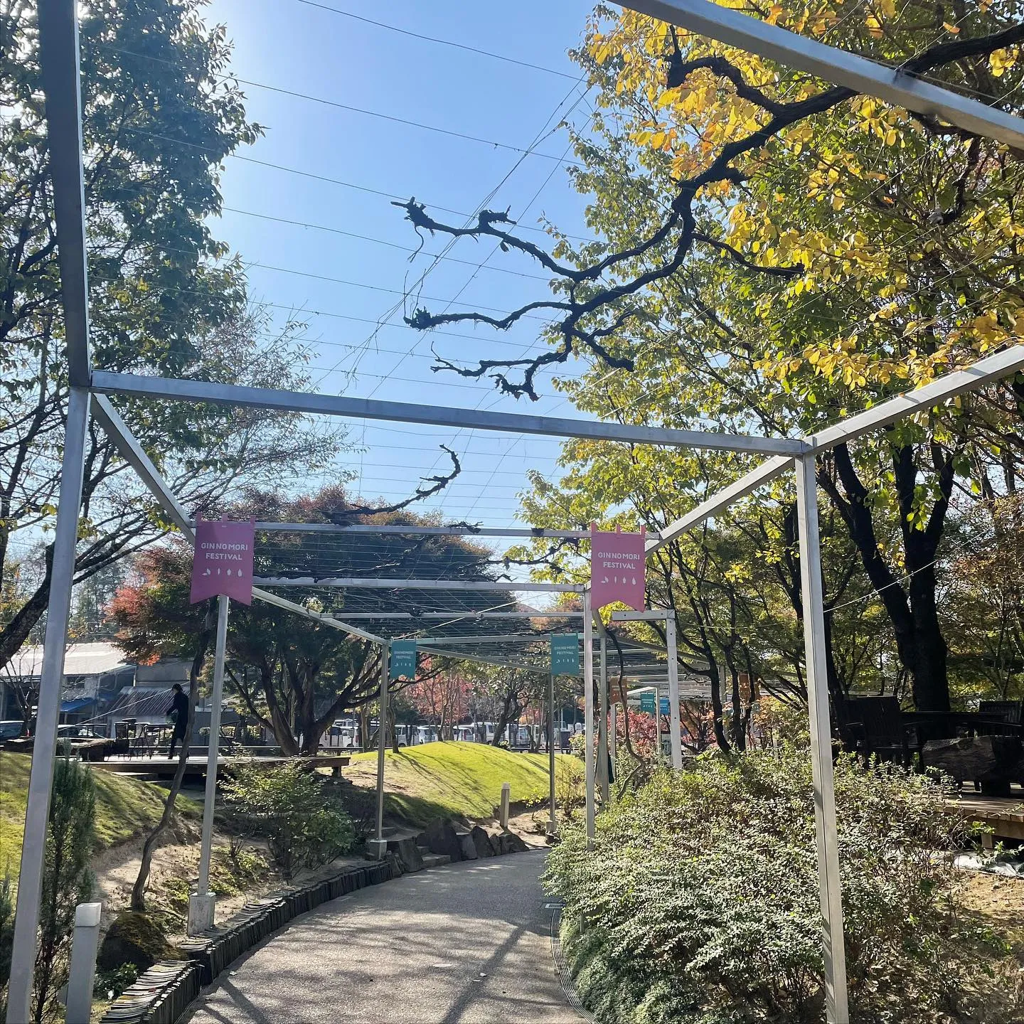 いよいよ明日🌳