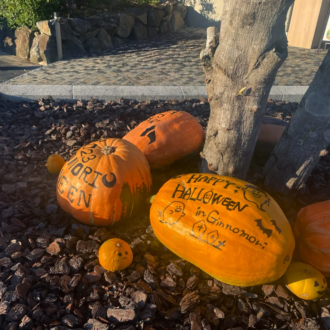 👻おばけかぼちゃの様子🎃