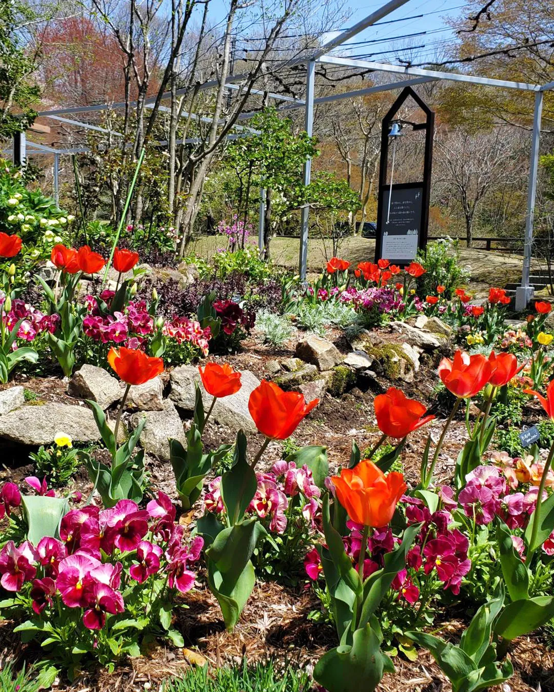 🌳 魅惑のグルメの森は4/25まで！
