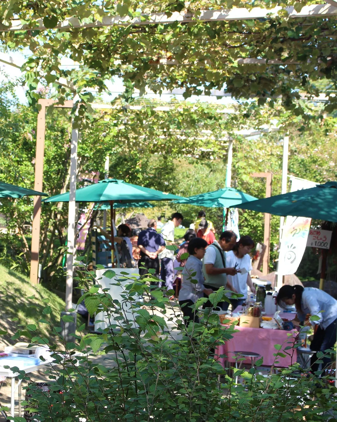 みどりとおいしいがいっぱい！の4日間🌳