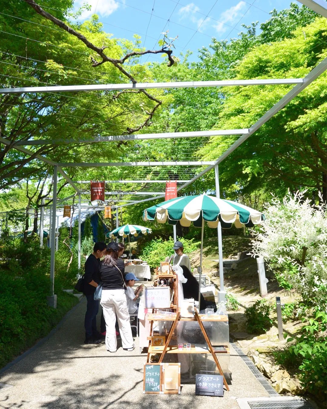 🍃GINNOMORI WEEKの様子🍃