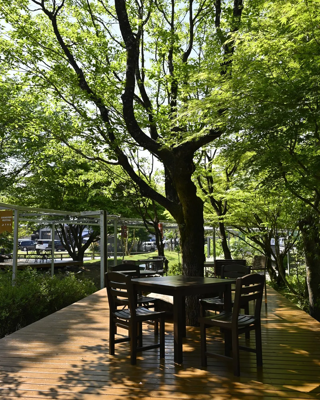 🌳初夏の銀の森🌳