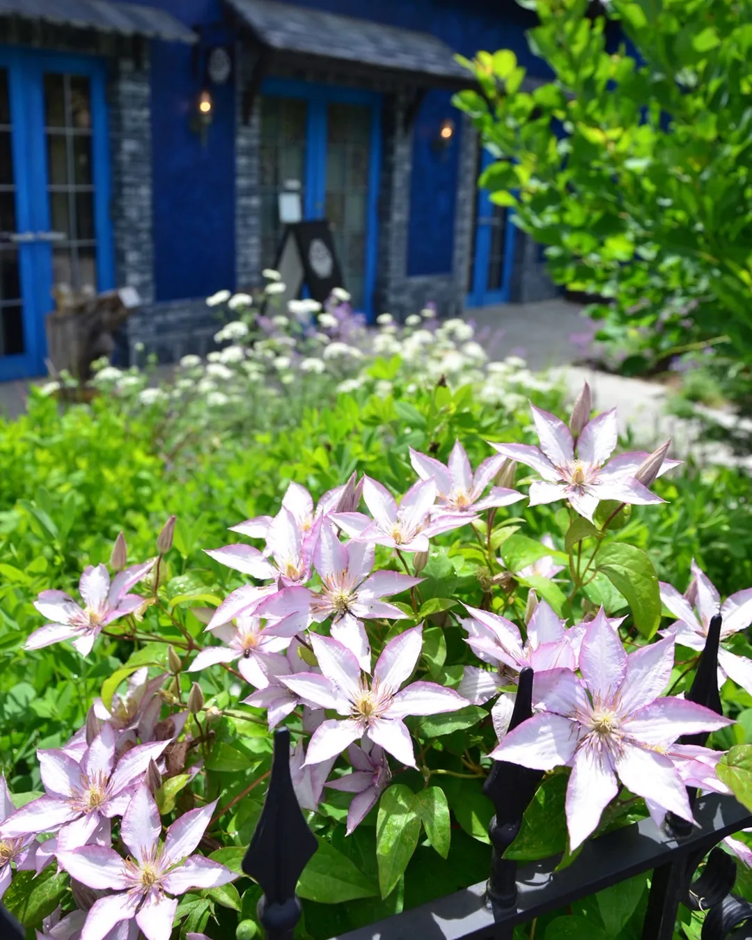 万緑の銀の森