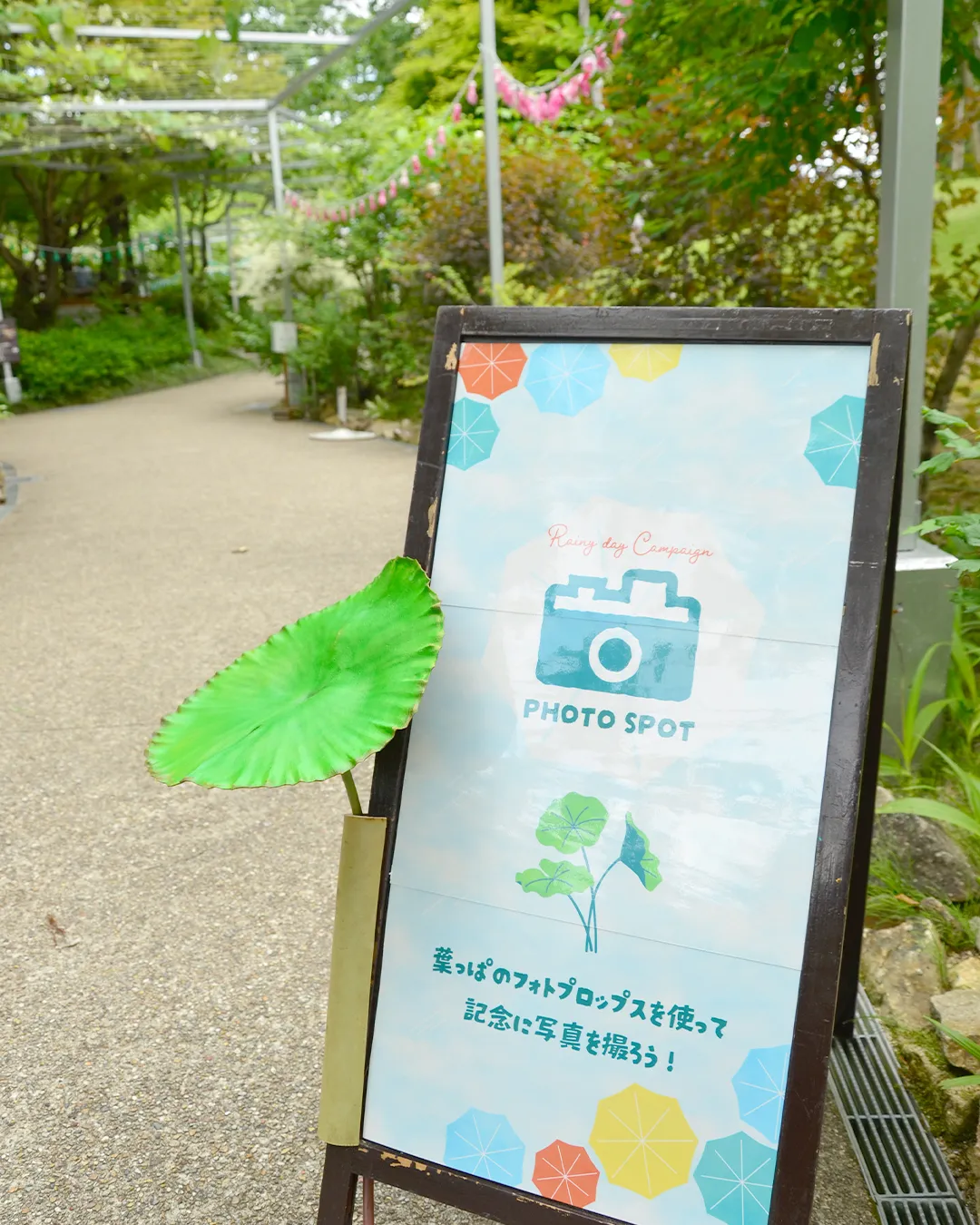☔雨の日限定キャンペーン☔