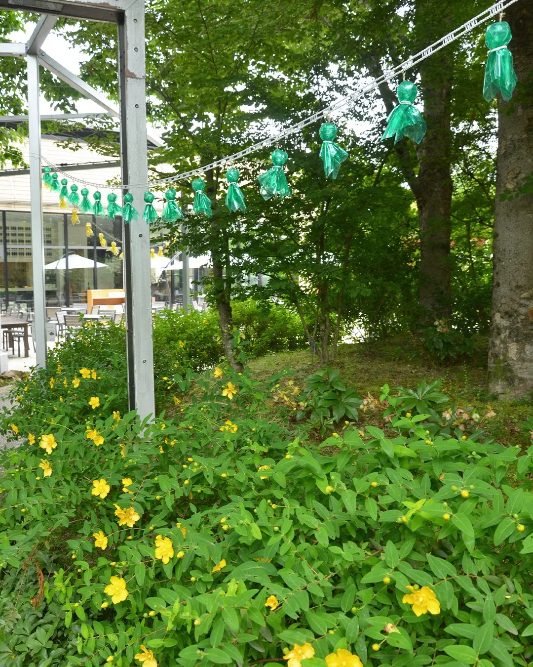 園内を彩るてるてる坊主☔