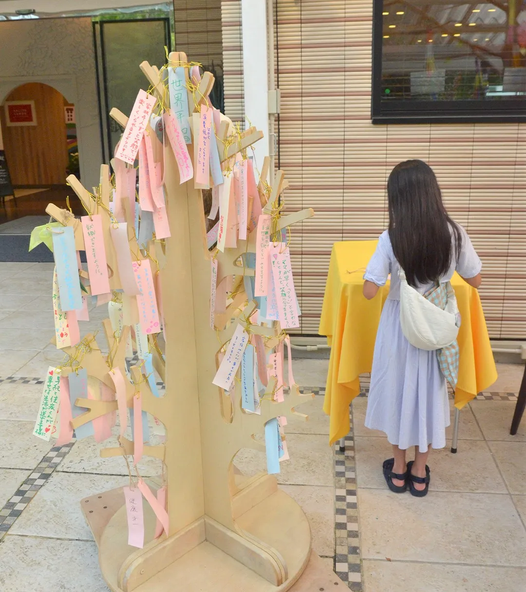 本日は七夕🎋