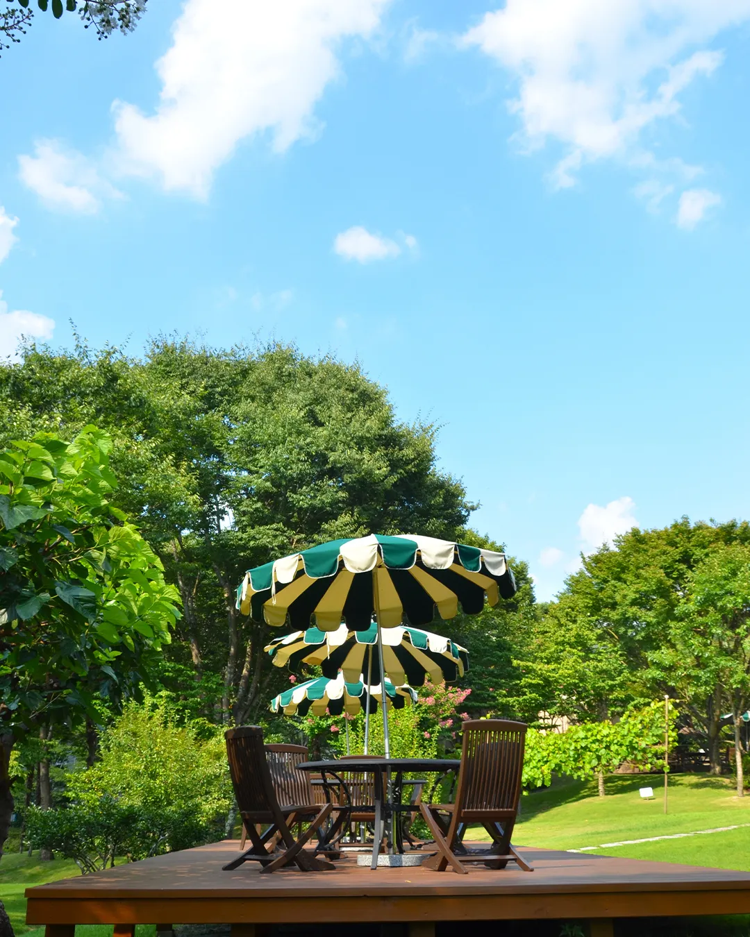 🌳園内風景🌳