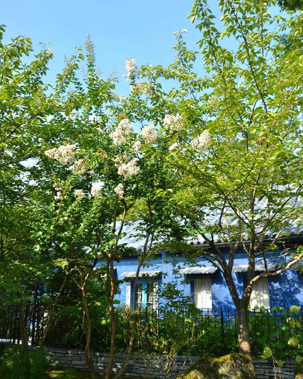 🌳園内風景🌳