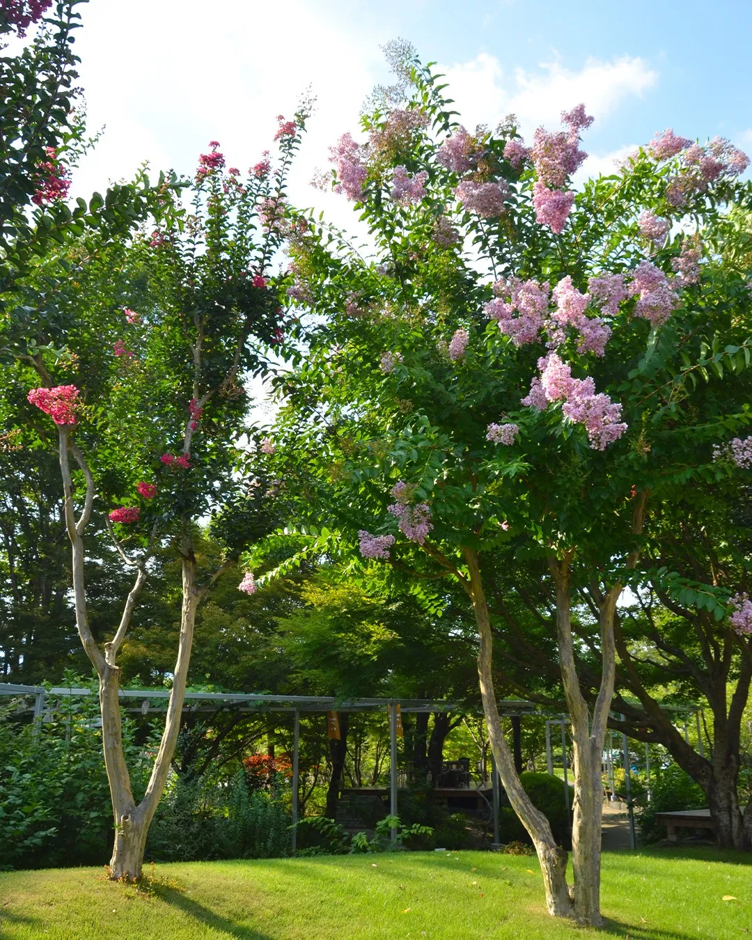 🌳園内風景🌳