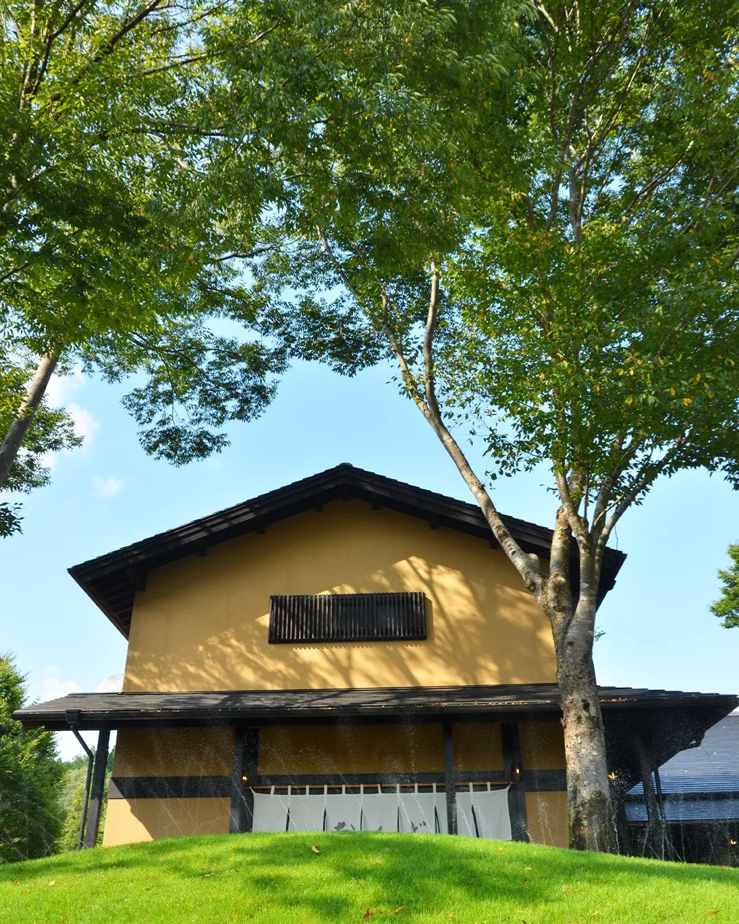 🌳園内風景🌳