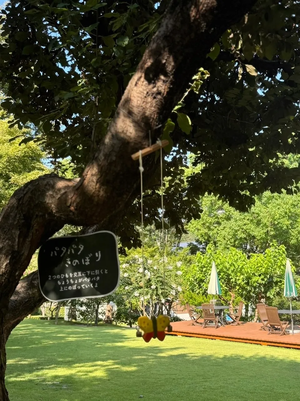 お休みの銀の森🌳