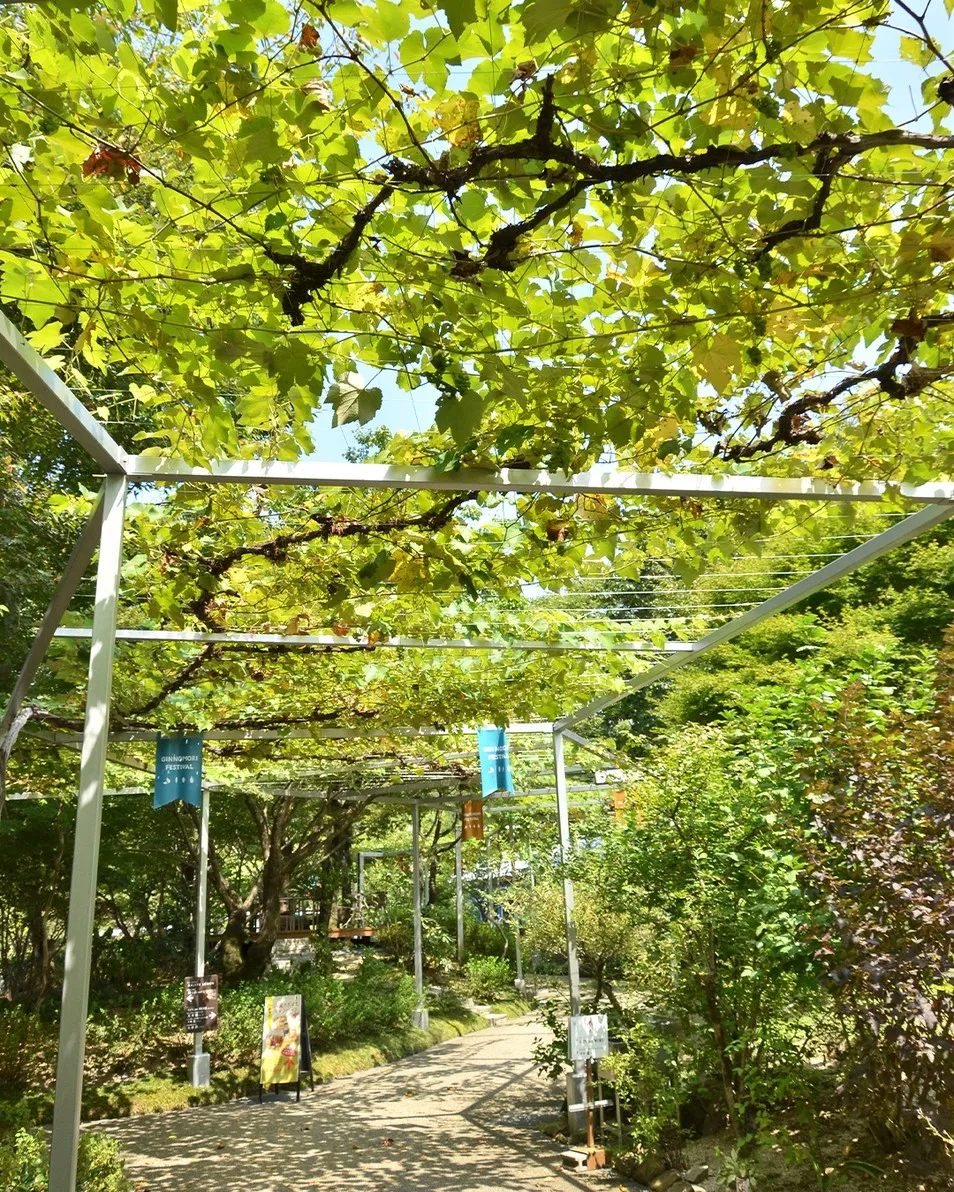 🌳園内風景🌳