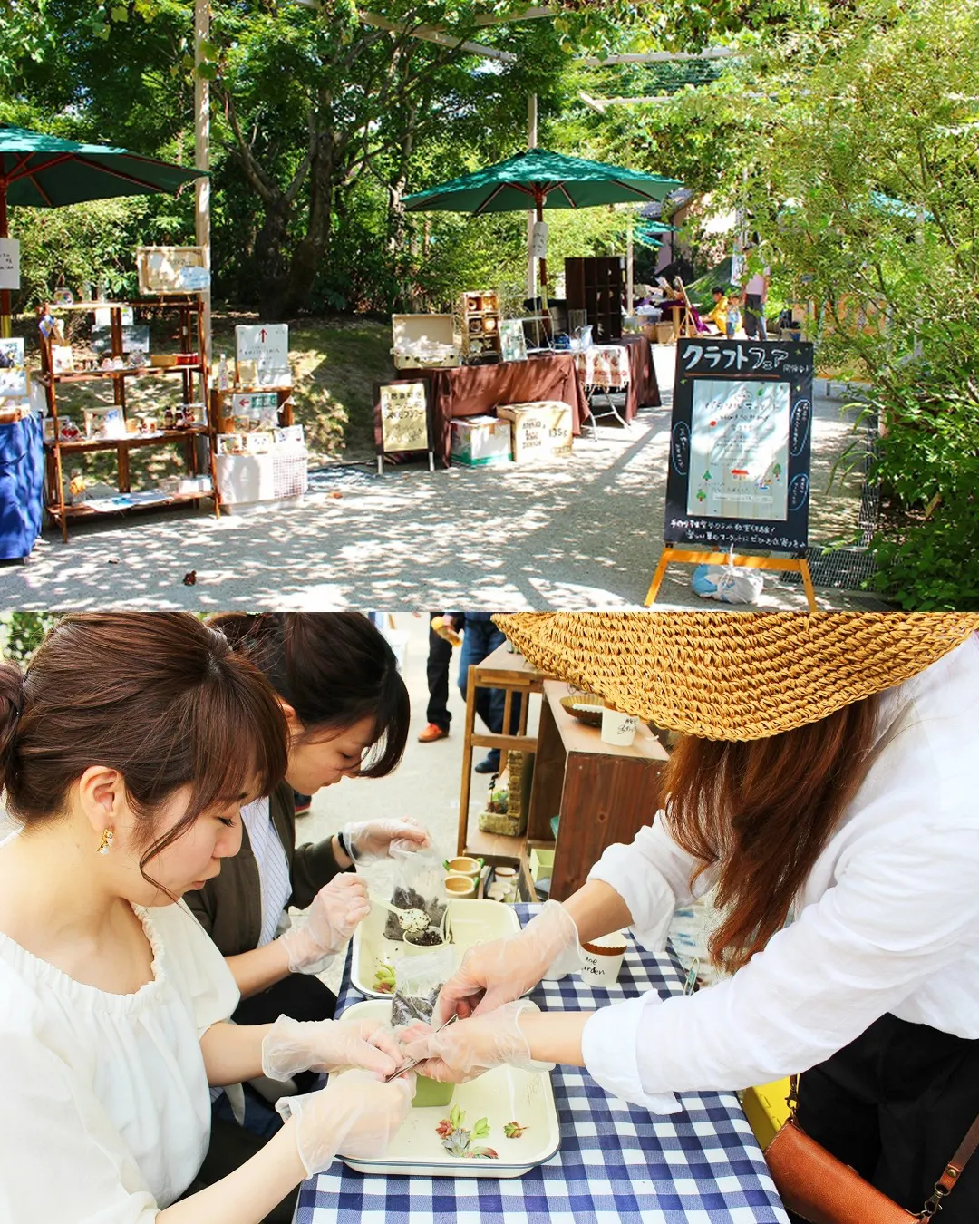 ＼🍃出店者さま募集スタート🍃／