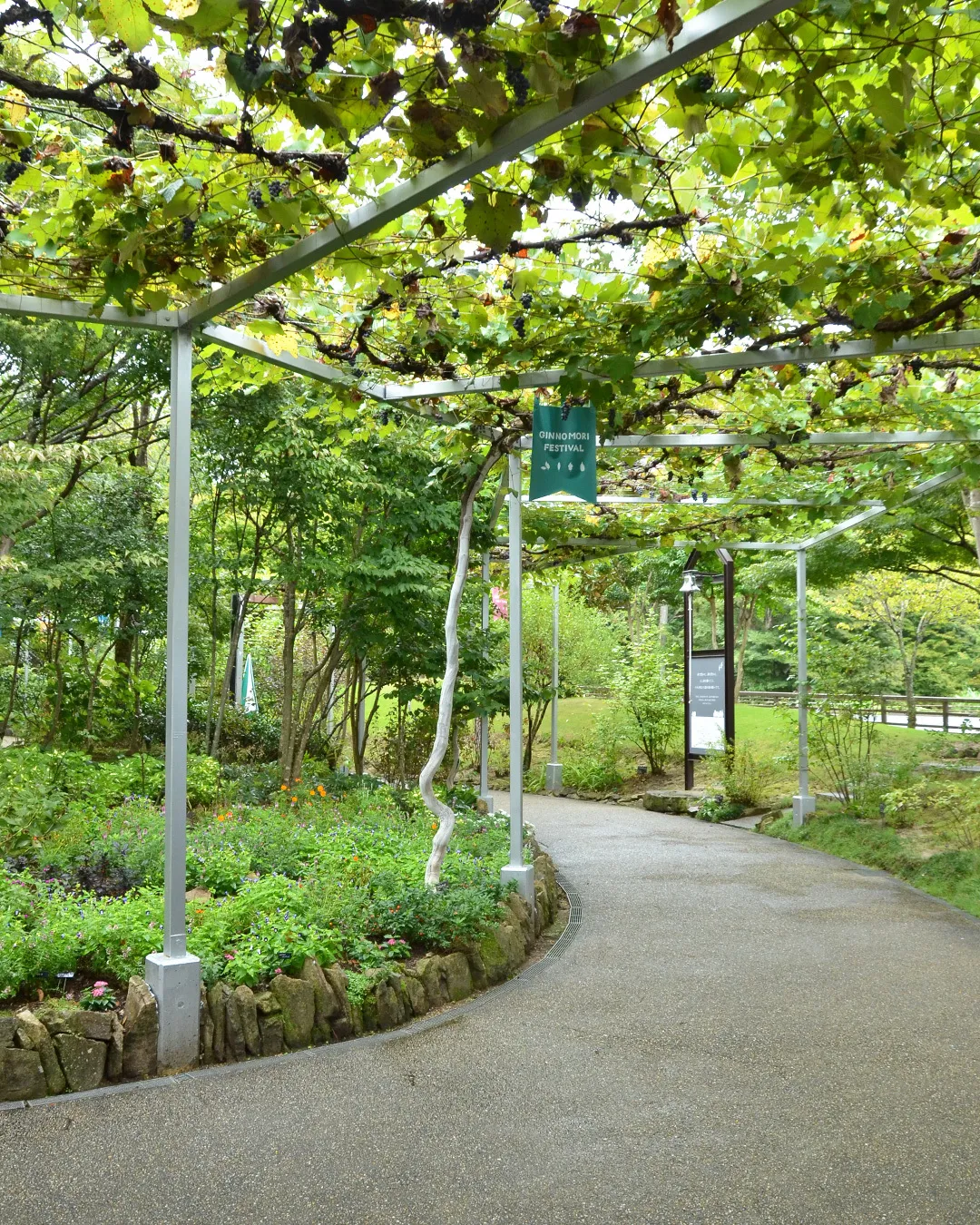 🍃夏の名残と、小さな秋のきざし🍁