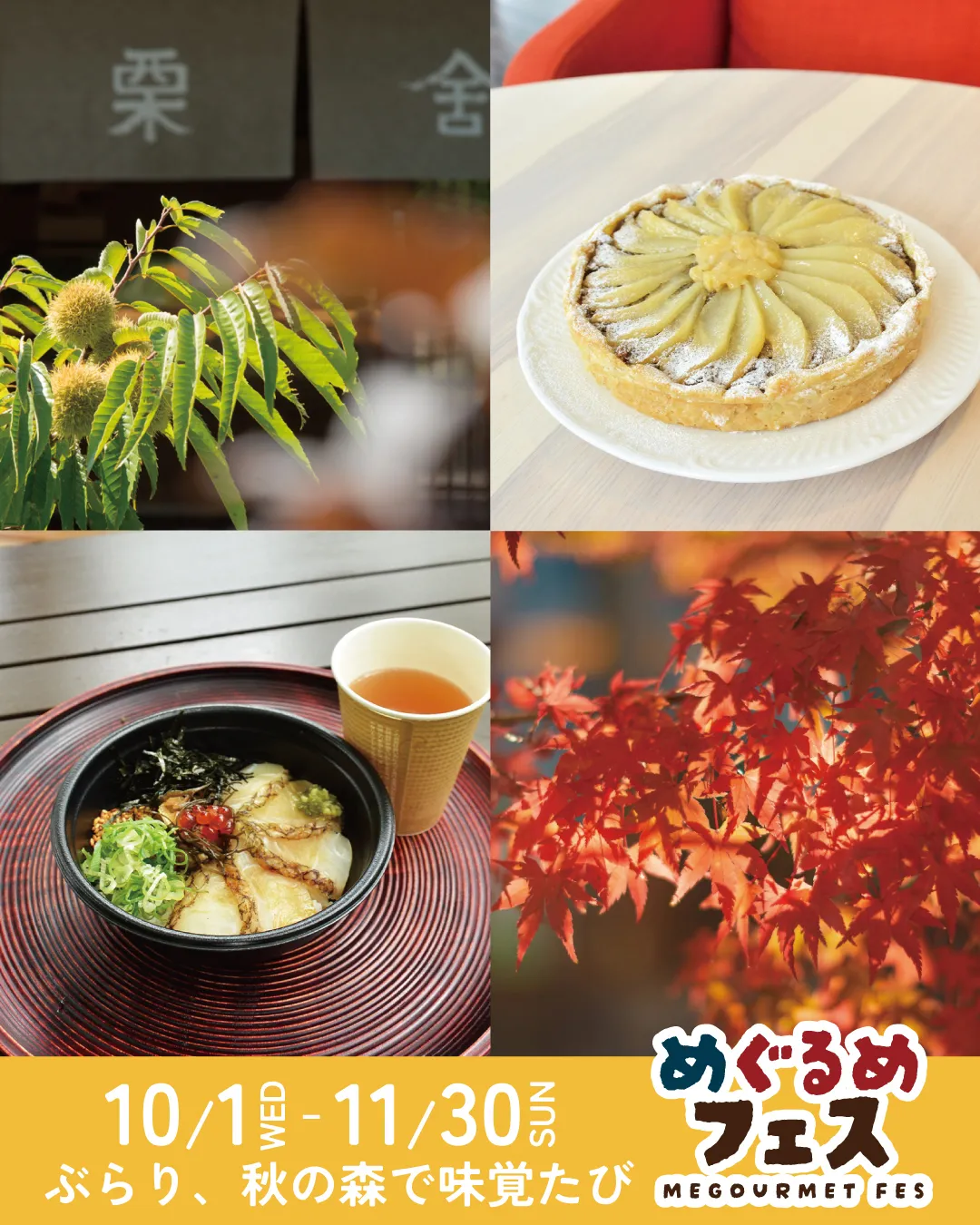 秋の味覚狩り🍂
