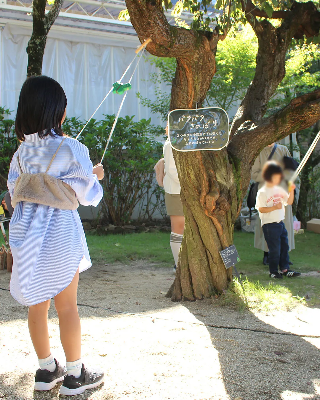 🍂どんぐり祭2025🍁