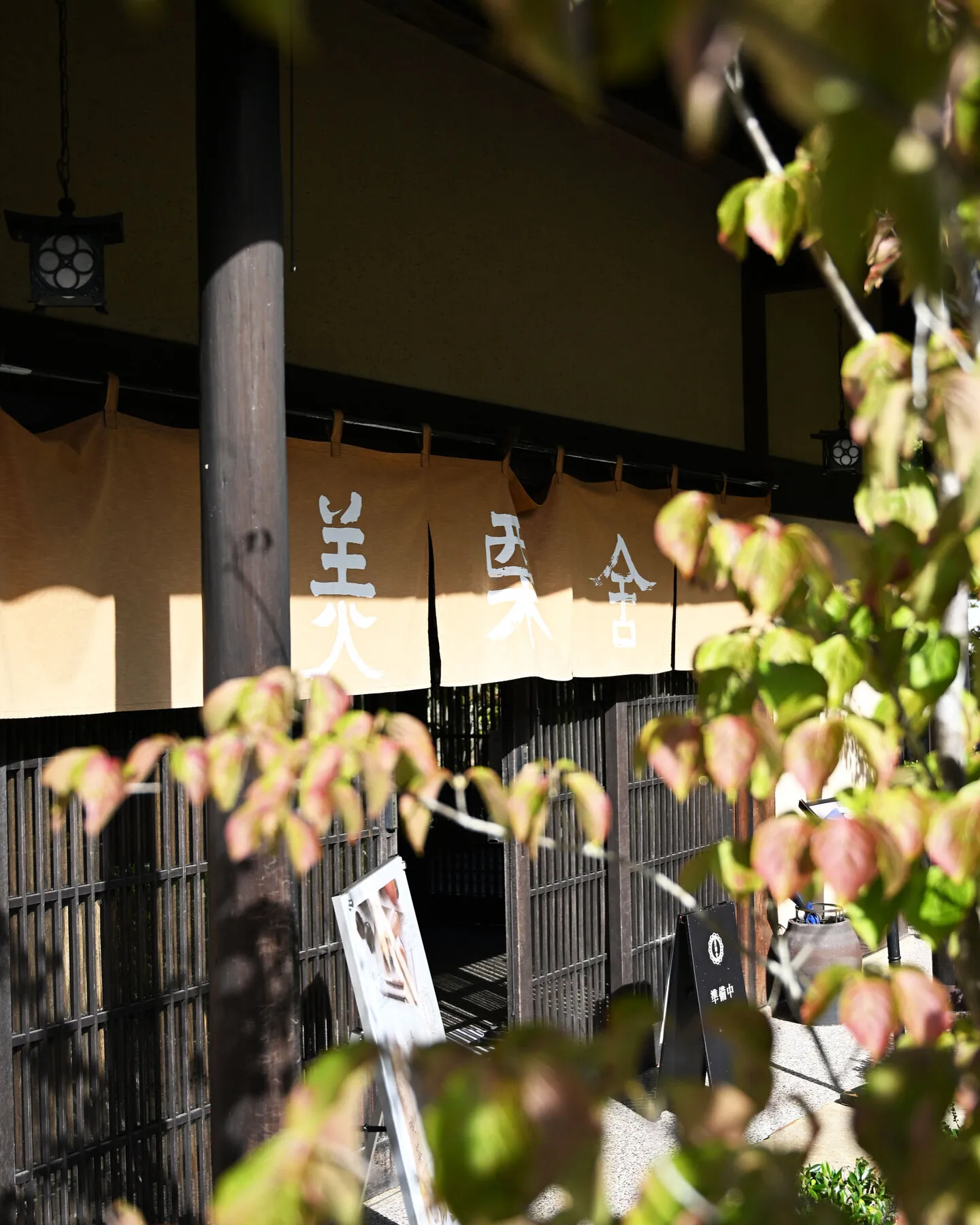 霜降の銀の森❄️