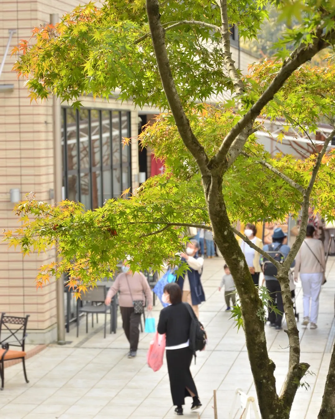 🌰どんぐり祭2025 1日目🌰