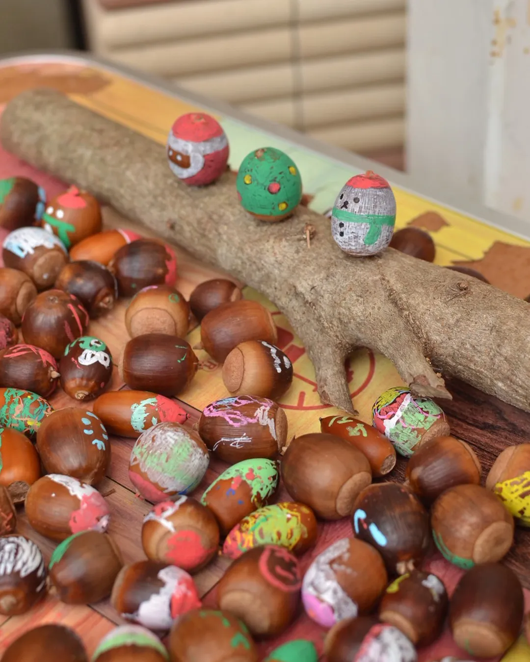 🌰どんぐり祭2025 2日目🌰