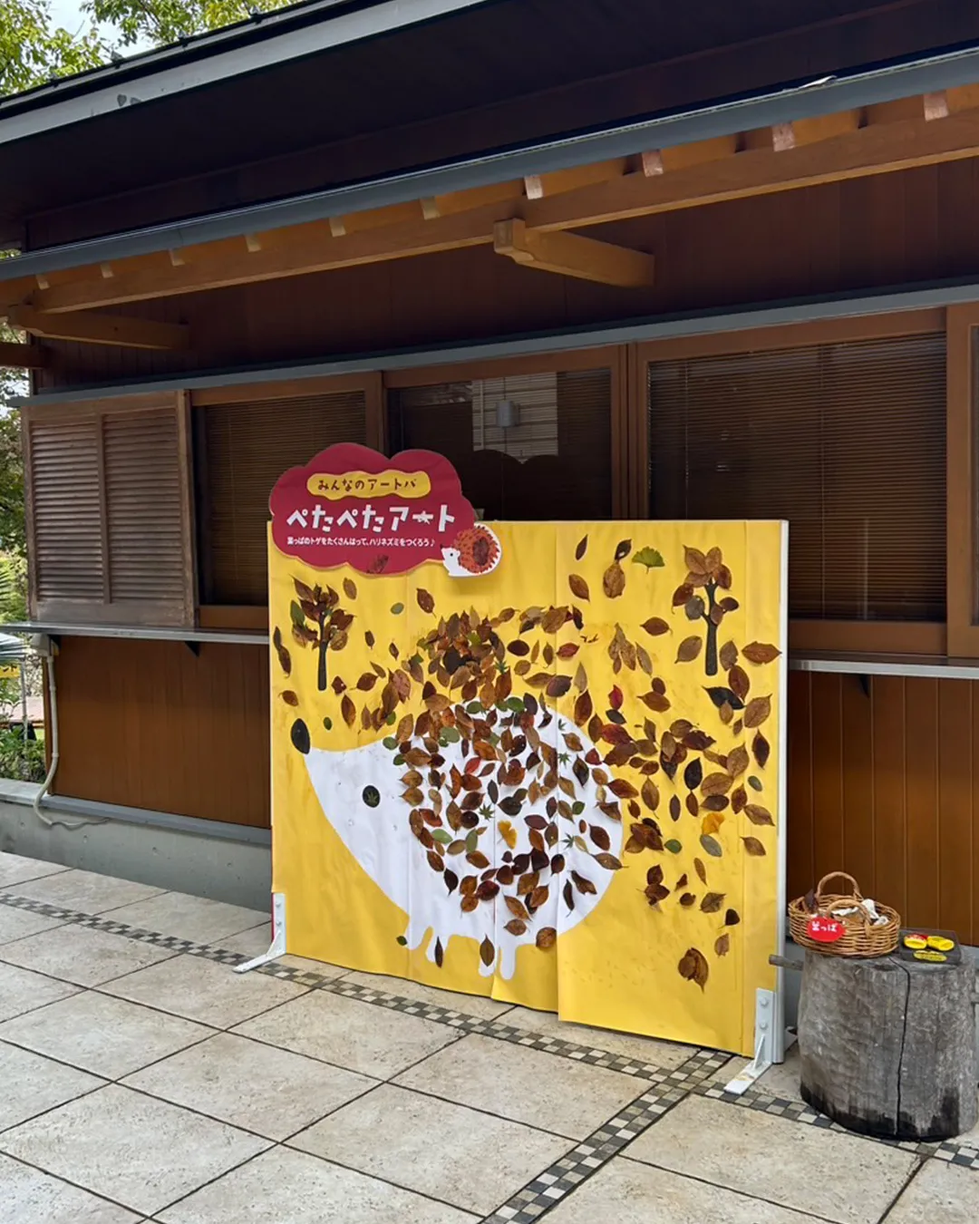 🌰どんぐり祭2025 2日目🌰