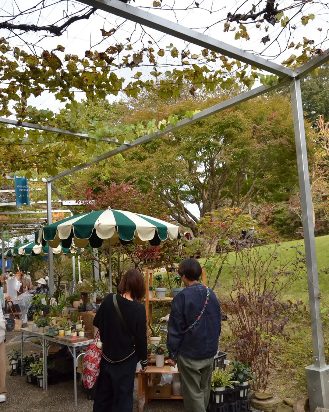 🌰どんぐり祭2025 2日目🌰