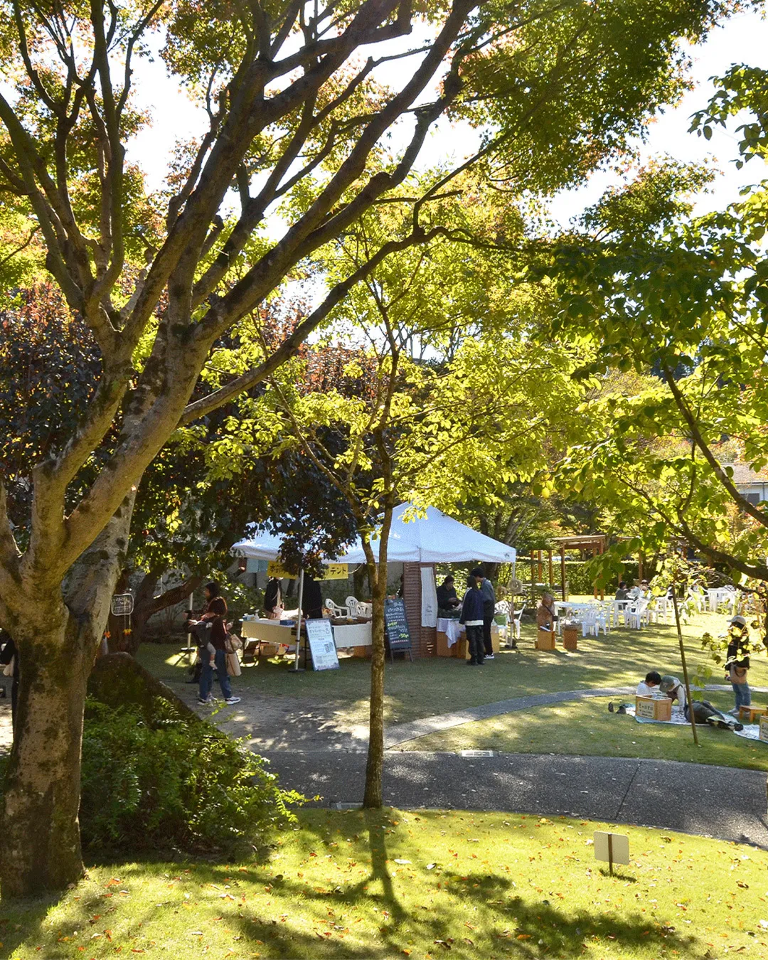 🌰どんぐり祭2025 最終日🌰