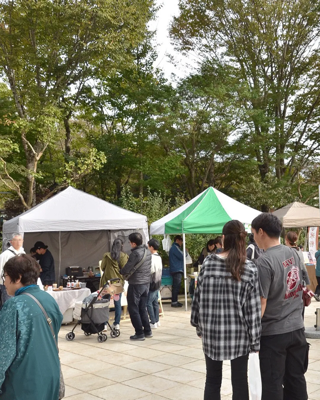 🌰どんぐり祭2025 最終日🌰