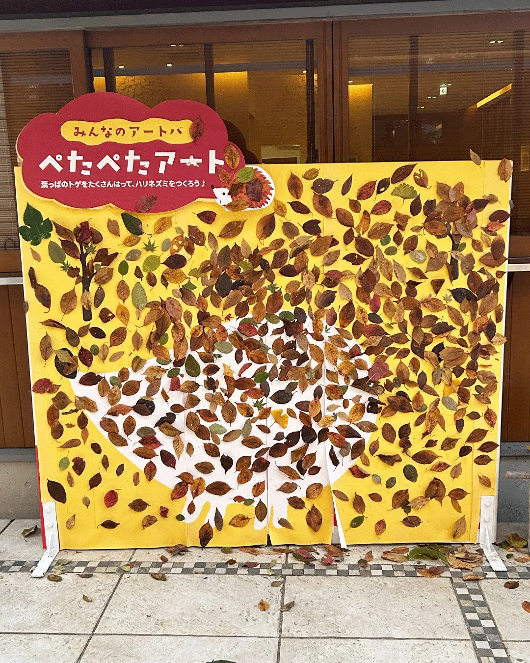 🌰どんぐり祭2025 最終日🌰