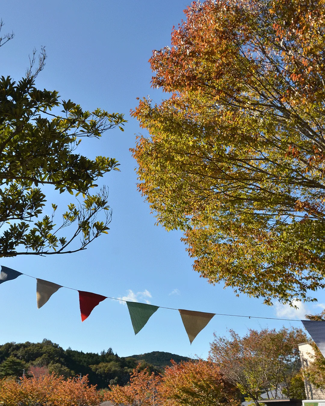 🌰どんぐり祭2025 最終日🌰