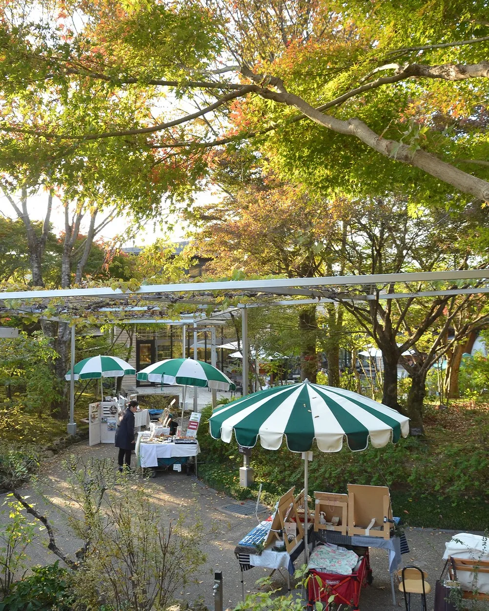 🍂11/8 パラソルマーケット⛱