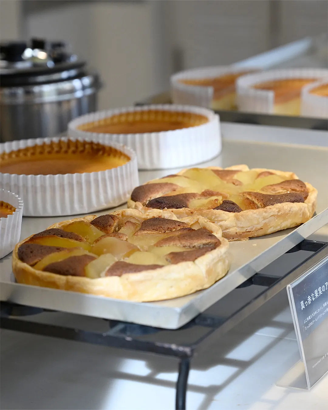 銀の森の過ごし方🌳