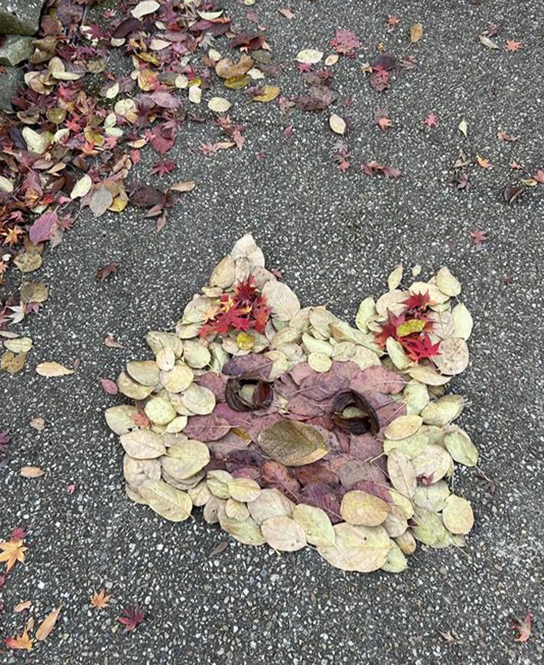 📺ドデスカ！で紹介されました📺