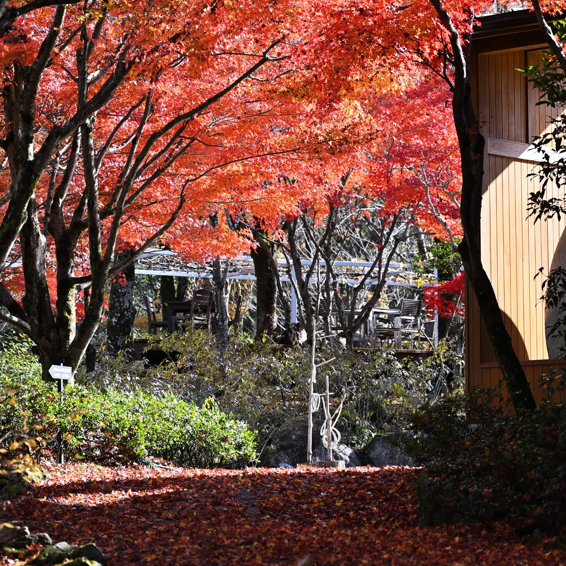 メ～テレ「ドデスカ！」