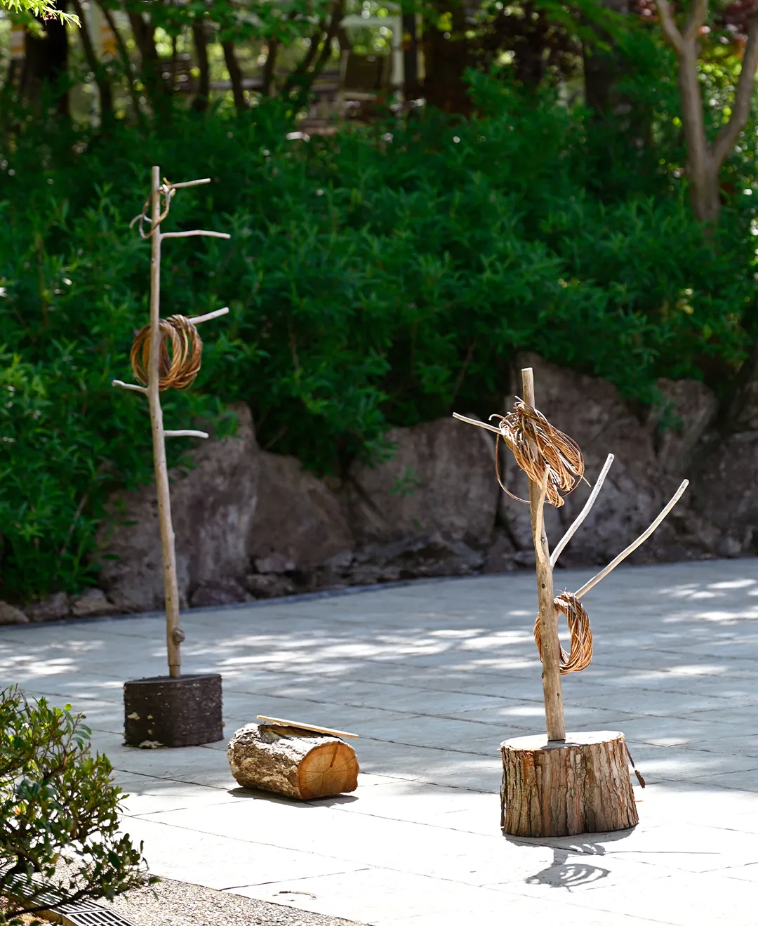 🌳森のasobiba🌳