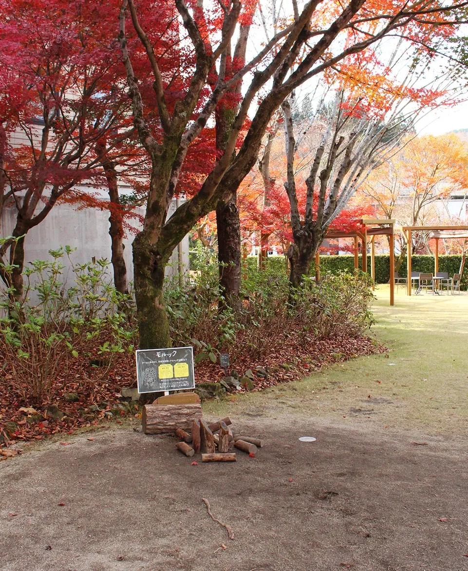 🌳森のasobiba🌳