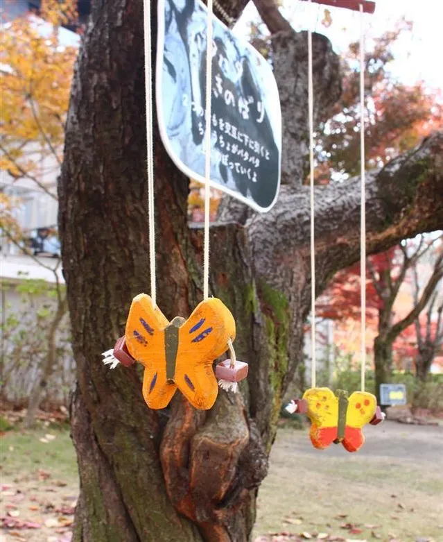 🌳森のasobiba🌳