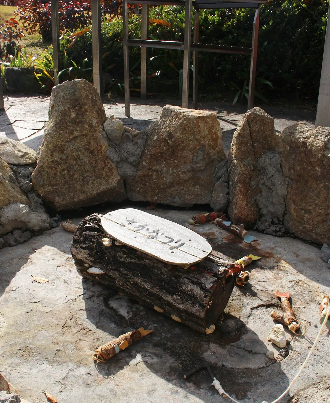 🌳森のasobiba🌳