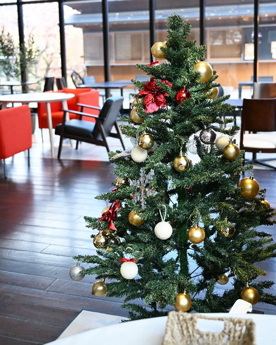 12月の銀の森🌳