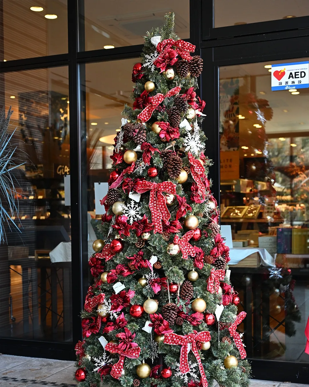 12月の銀の森🌳
