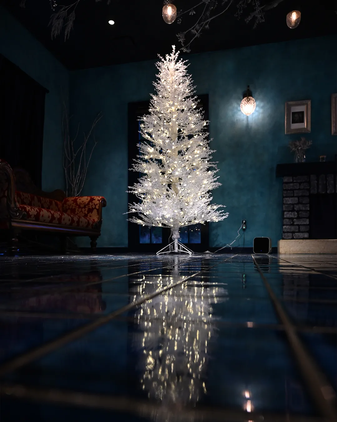 12月の銀の森🌳