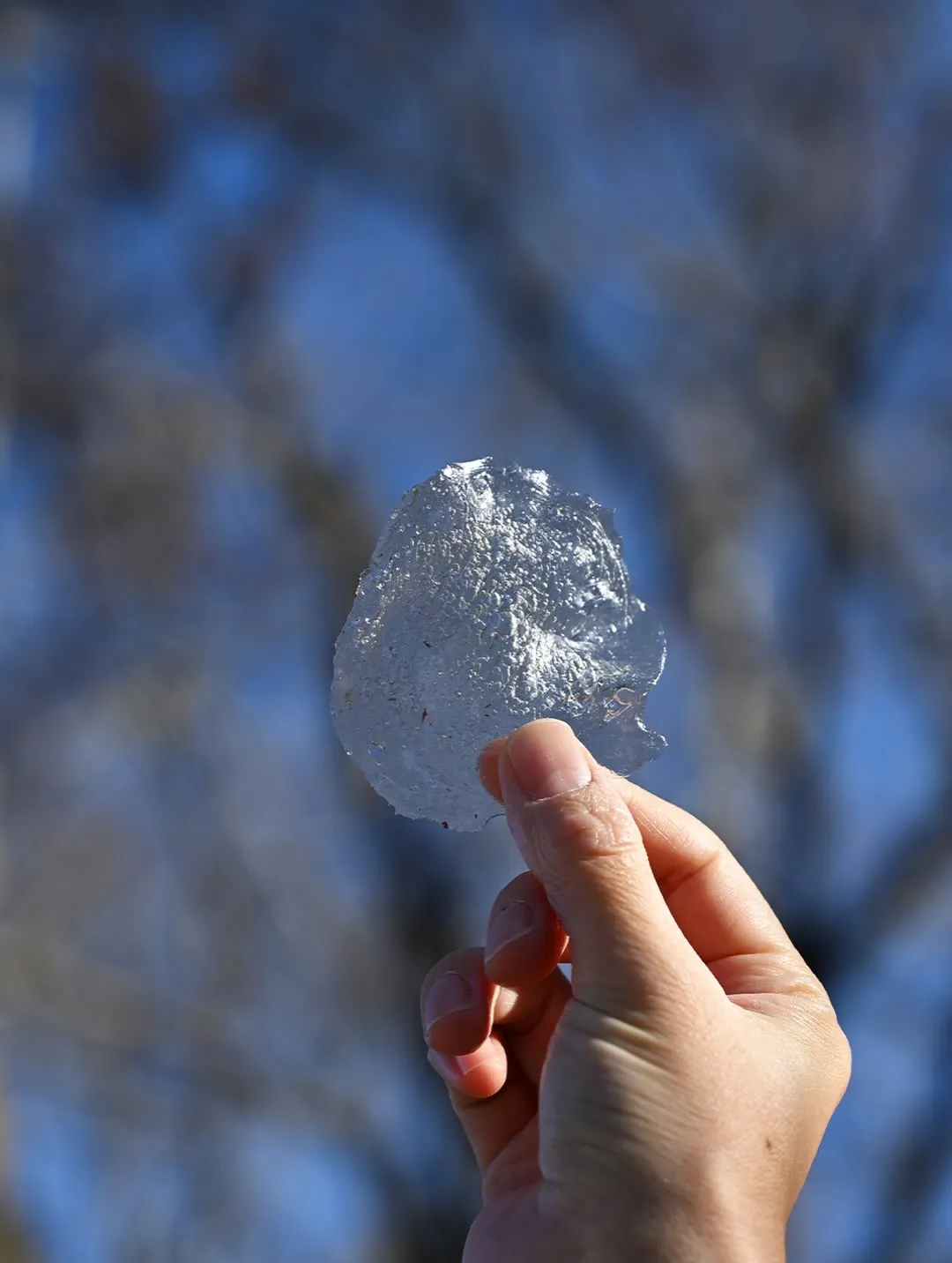 \ポテトチップスが…透けてる!?/