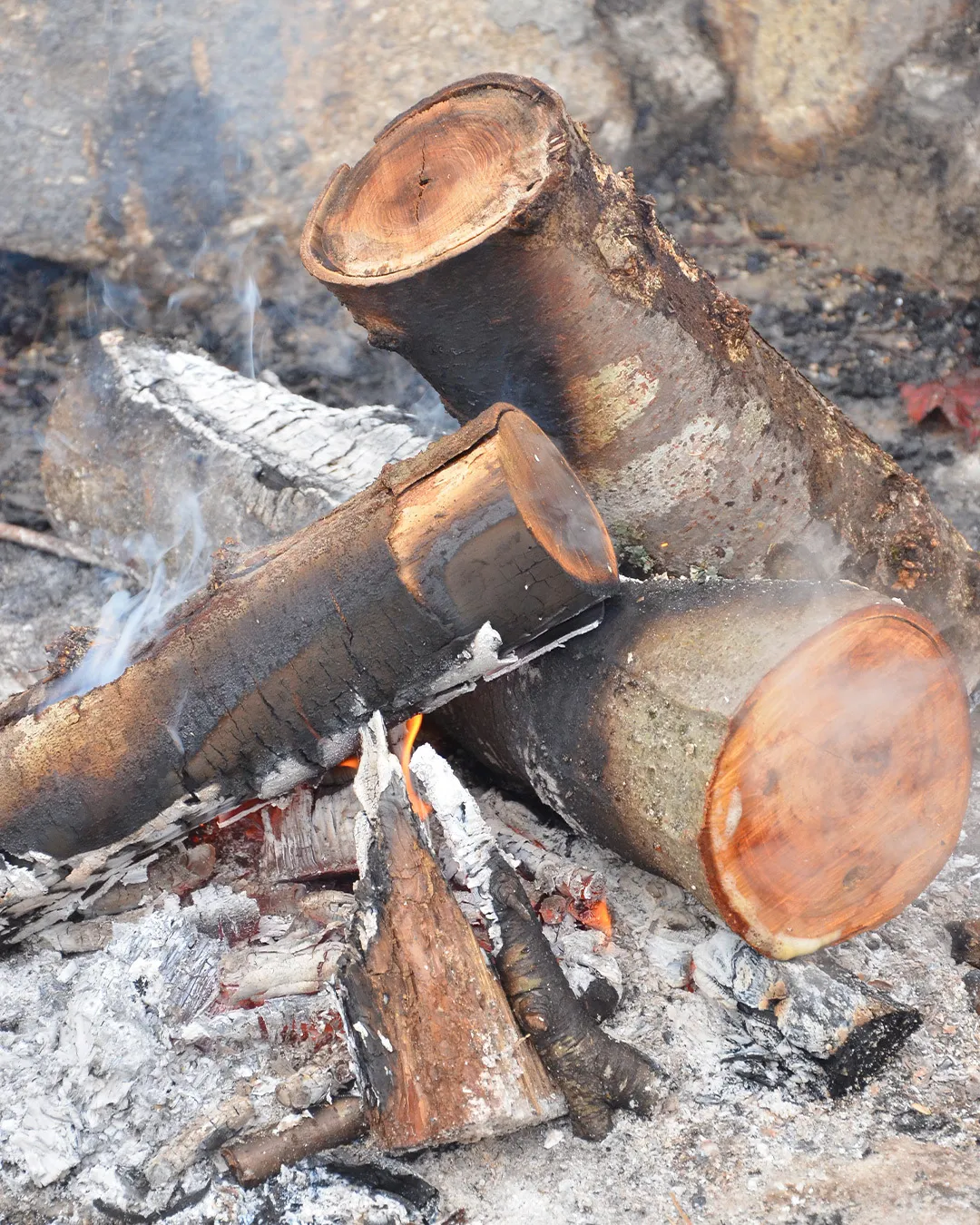 ぱちぱち、冬の風物詩
