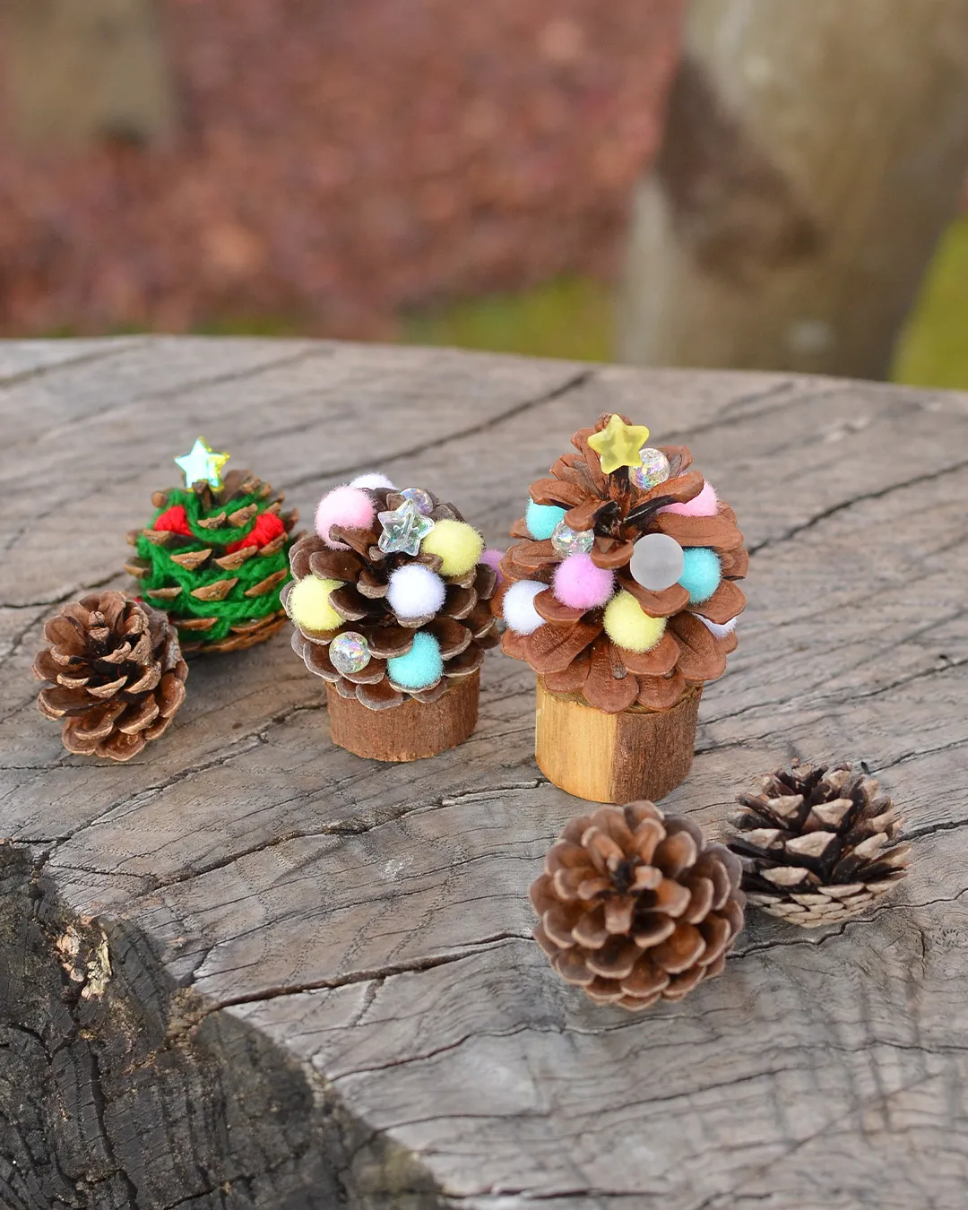 森からの小さなおすそ分け