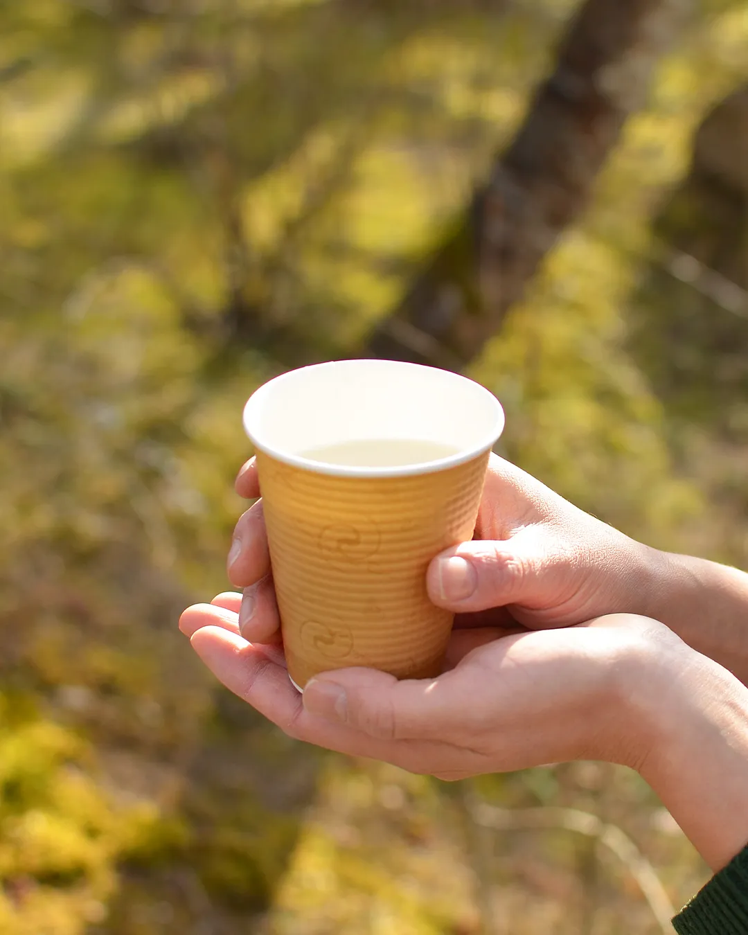 芽でたまつりで、口福のひととき🍡