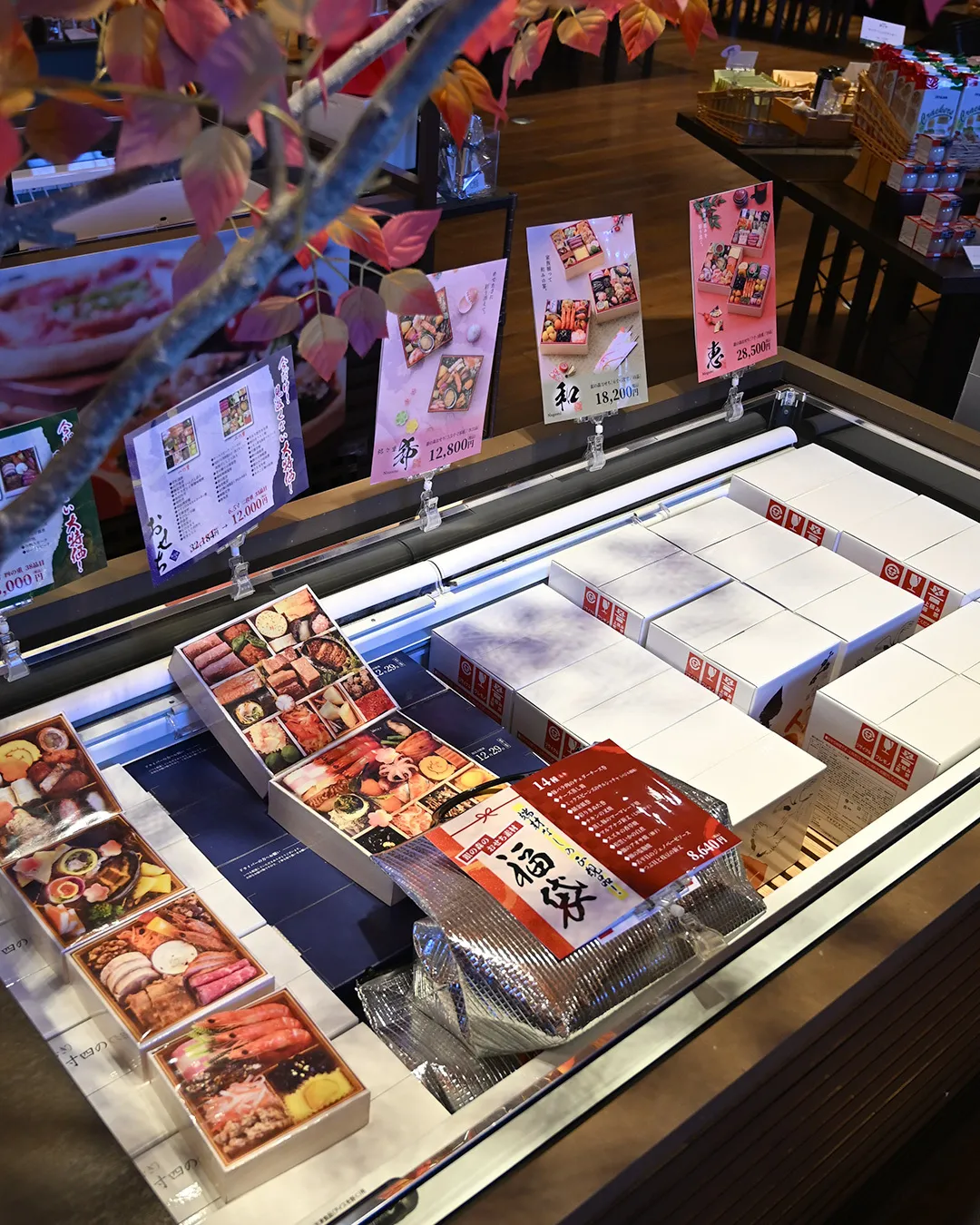 芽でたまつり１日目🌱