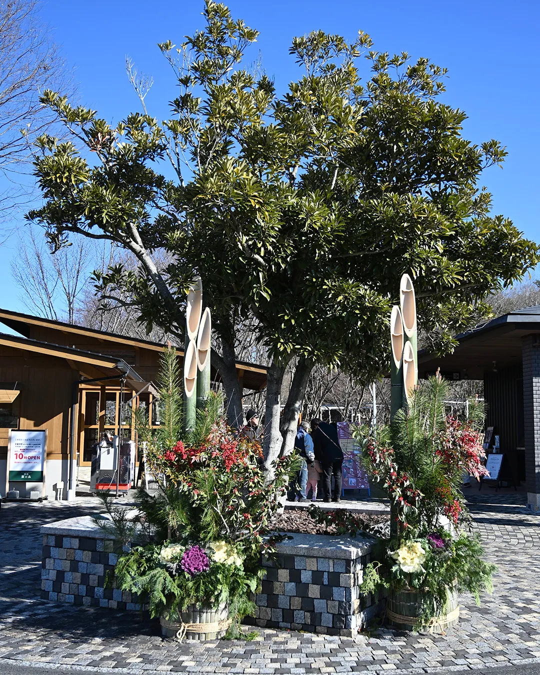 芽でたまつり１日目🌱