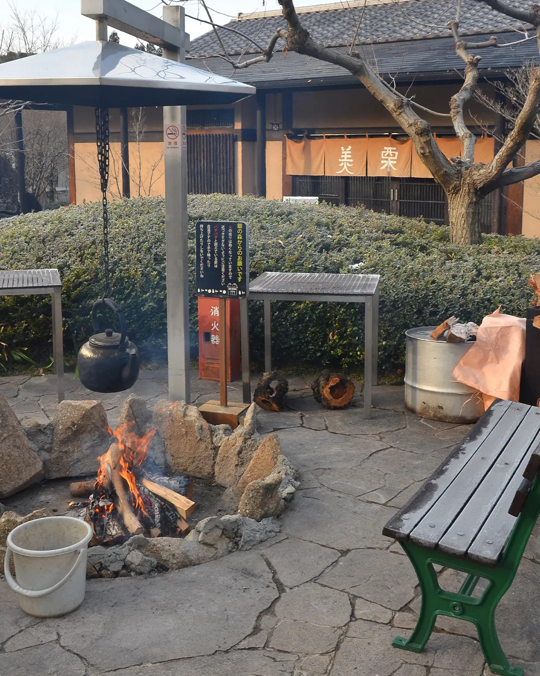 冬の森のひとこま🌳