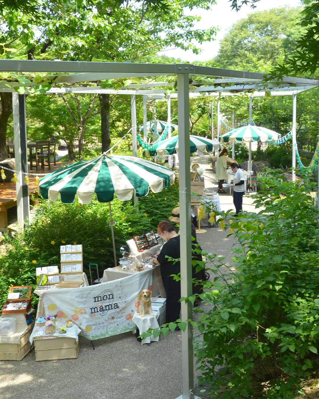 パラソルマーケット2026⛱