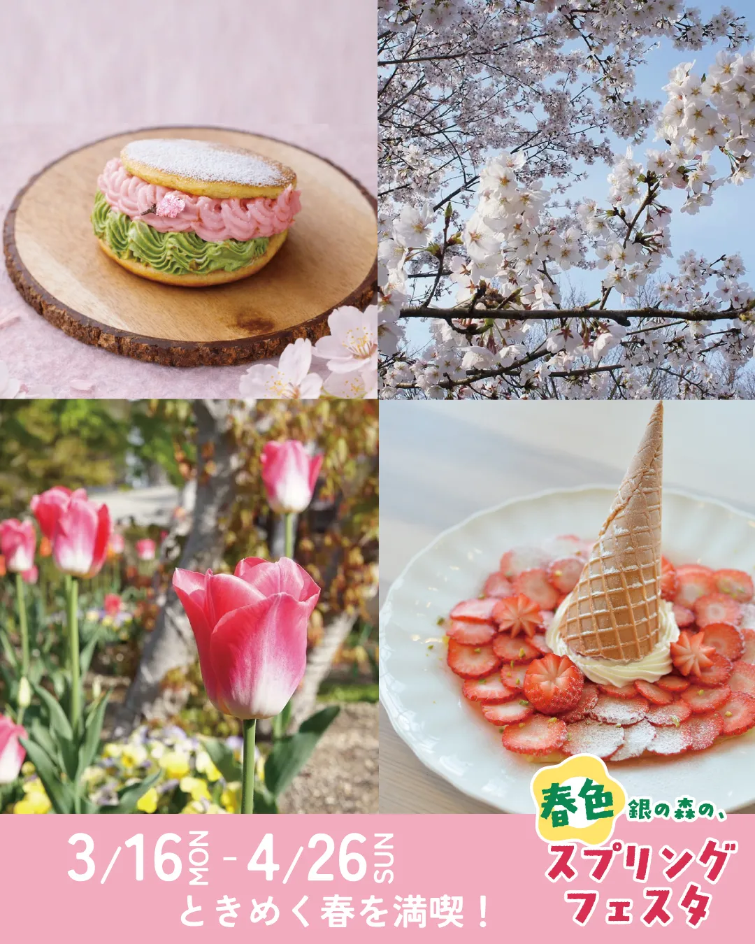 ときめく春を満喫！